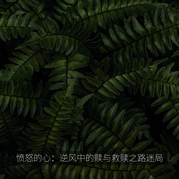 愤怒的心：逆风中的赎与救赎之路迷局 海报