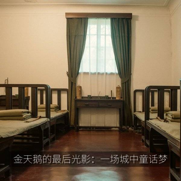 金天鹅的最后光影:一场城中童话梦