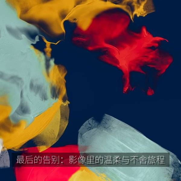 最后的告别：影像里的温柔与不舍旅程
