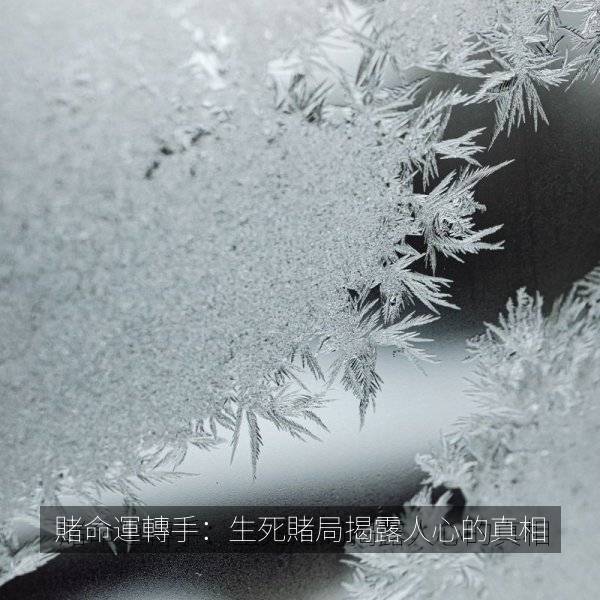 賭命運轉手：生死賭局揭露人心的真相