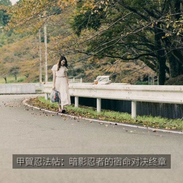 甲賀忍法帖:暗影忍者的宿命对决终章