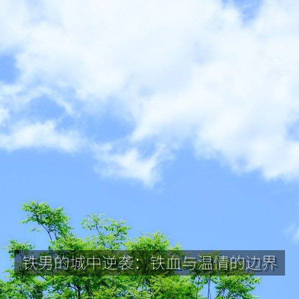 相关推荐 铁男的城中逆袭：铁血与温情的边界