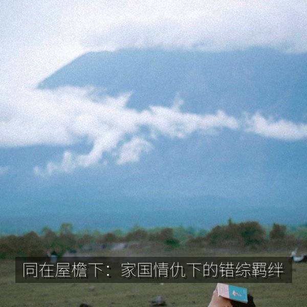 同在屋檐下：家国情仇下的错综羁绊