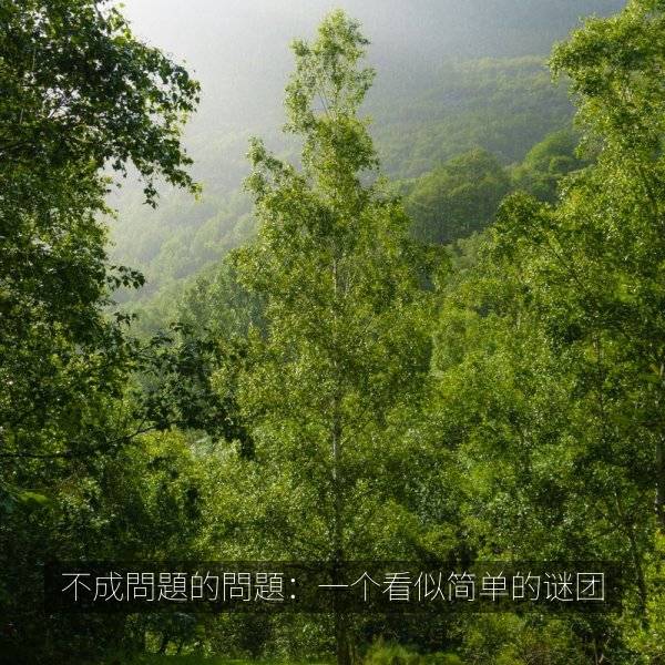 不成問題的問題:一个看似简单的谜团