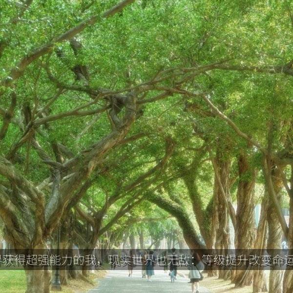 在异世界获得超强能力的我，现实世界也无敌：等级提升改变命运 海报