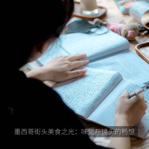 墨西哥街头美食之光：味觉与镜头的畅想