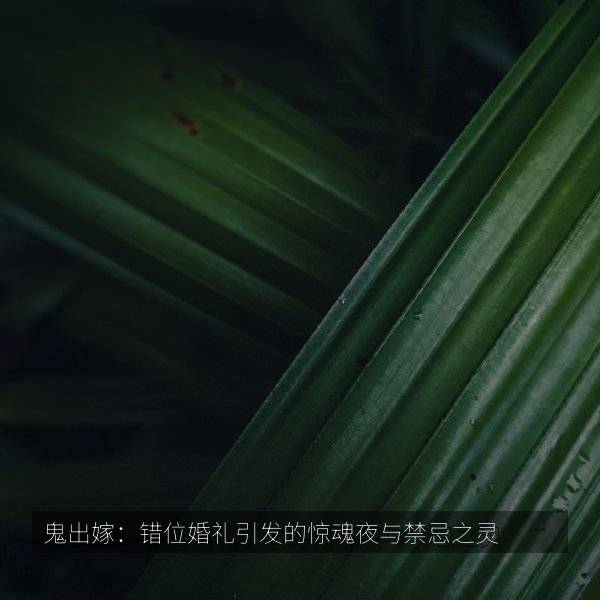 鬼出嫁：错位婚礼引发的惊魂夜与禁忌之灵
