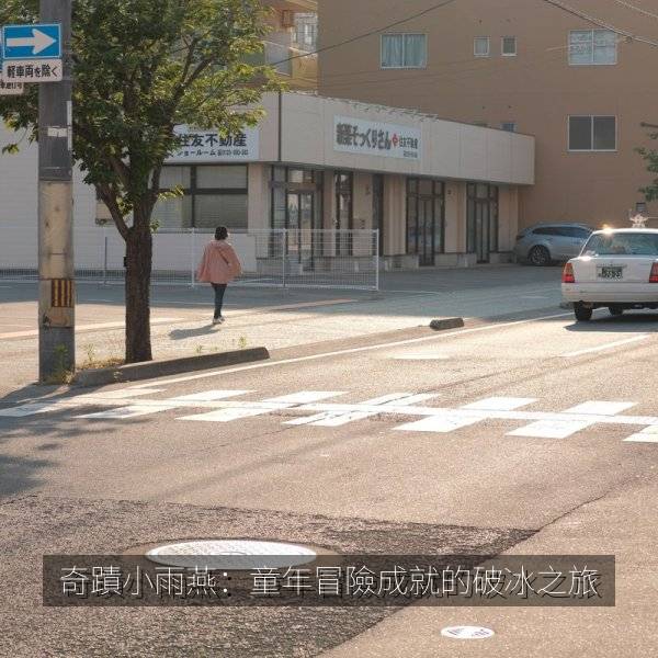 奇蹟小雨燕:童年冒險成就的破冰之旅