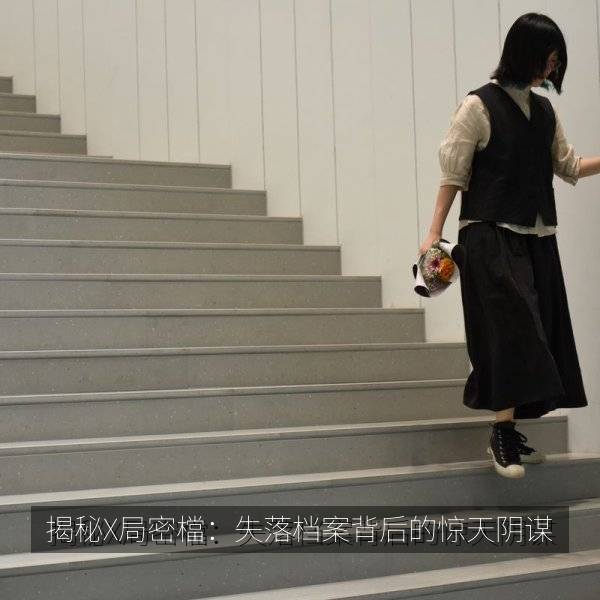 揭秘X局密檔：失落档案背后的惊天阴谋