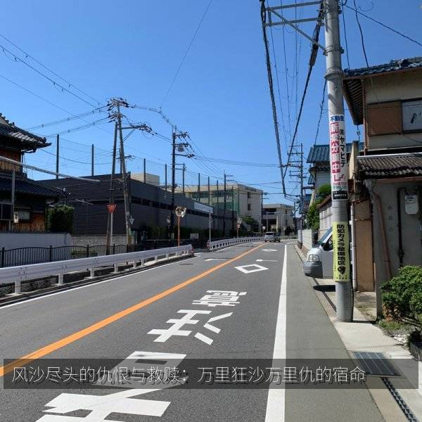 风沙尽头的仇恨与救赎:万里狂沙万里仇的宿命