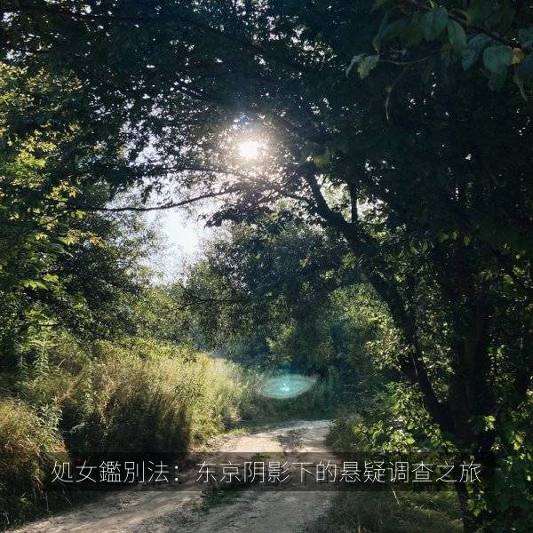 処女鑑別法:东京阴影下的悬疑调查之旅