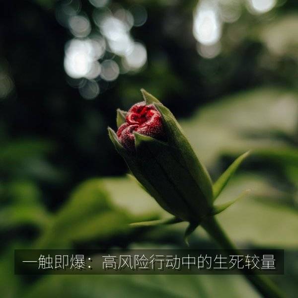 一触即爆：高风险行动中的生死较量