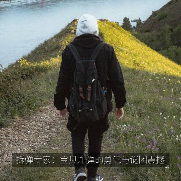 拆弹专家：宝贝炸弹的勇气与谜团震撼