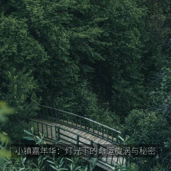 相关推荐 小镇嘉年华：灯光下的命运旋涡与秘密